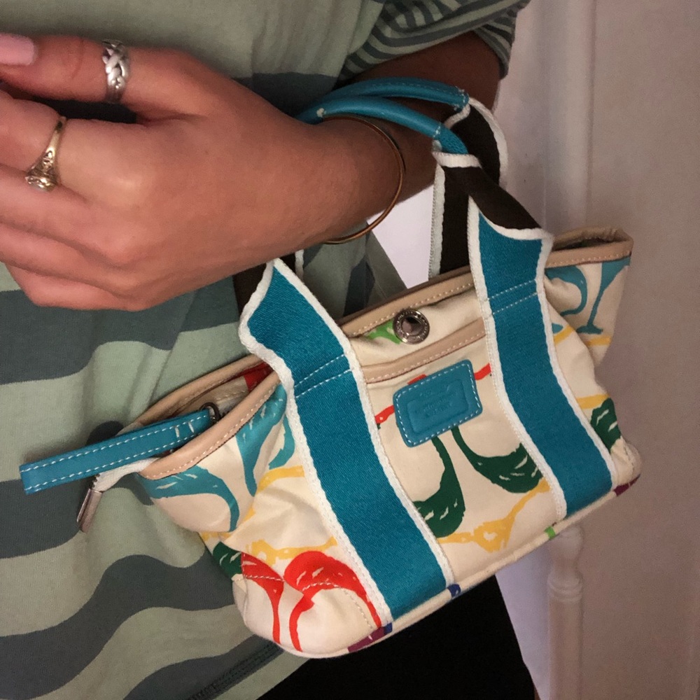 Coach rainbow purse